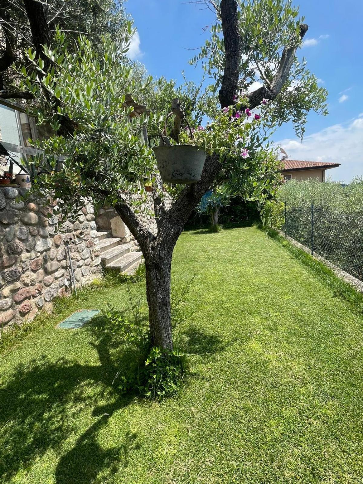 Garden Room カヴァイオーン・ヴェロネーゼ エクステリア 写真